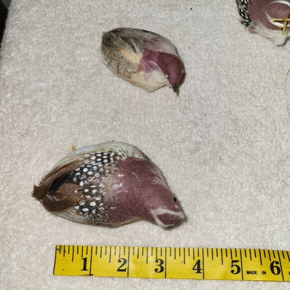 4 Vtg Christmas Ornament Bird Brown Feathers + 2 BONUS BIRDS SEE PICTURES GUC - Picture 5 of 6